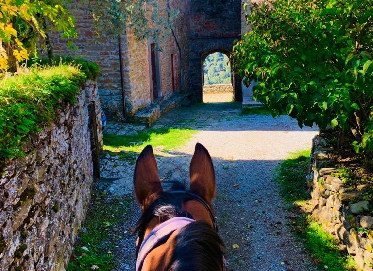 Châteaux du Chianti et promenades à cheval sur le thème du vin