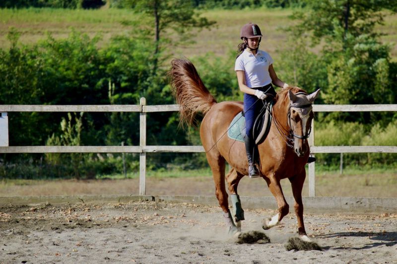 Châteaux du Chianti et promenades à cheval sur le thème du vin