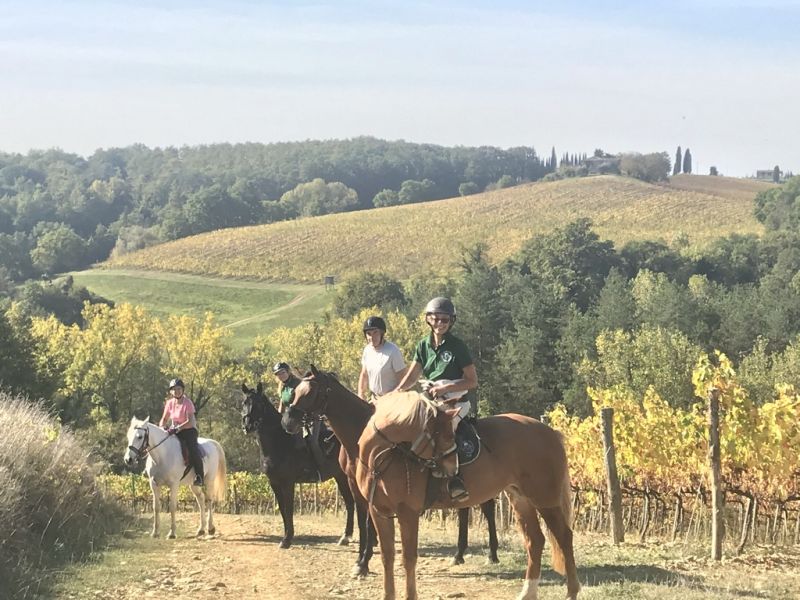 Châteaux du Chianti et promenades à cheval sur le thème du vin