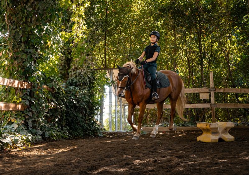 Châteaux du Chianti et promenades à cheval sur le thème du vin