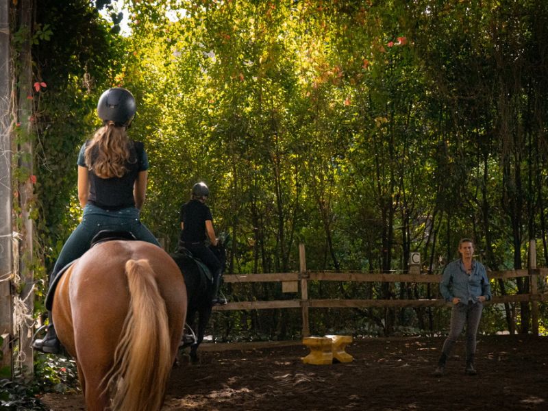 Châteaux du Chianti et promenades à cheval sur le thème du vin