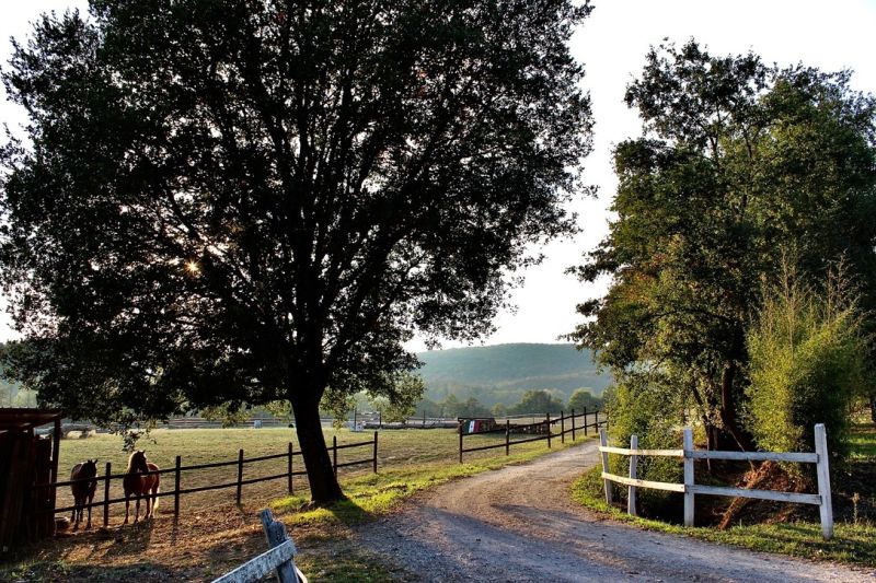 Châteaux du Chianti et promenades à cheval sur le thème du vin