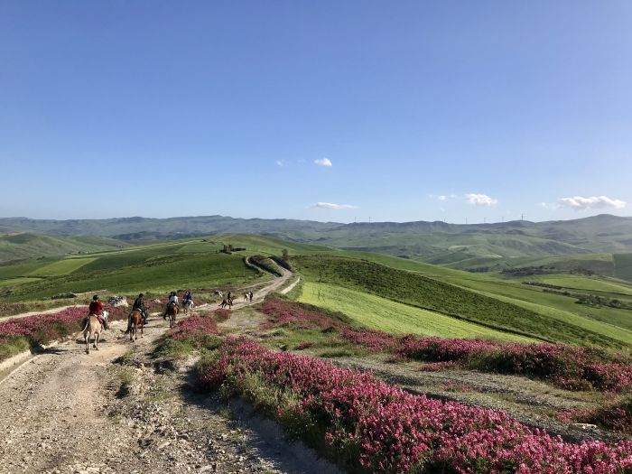 D'un boût à l'autre de la Sicile