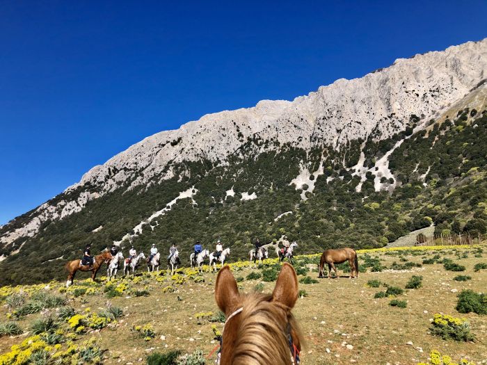 D'un boût à l'autre de la Sicile