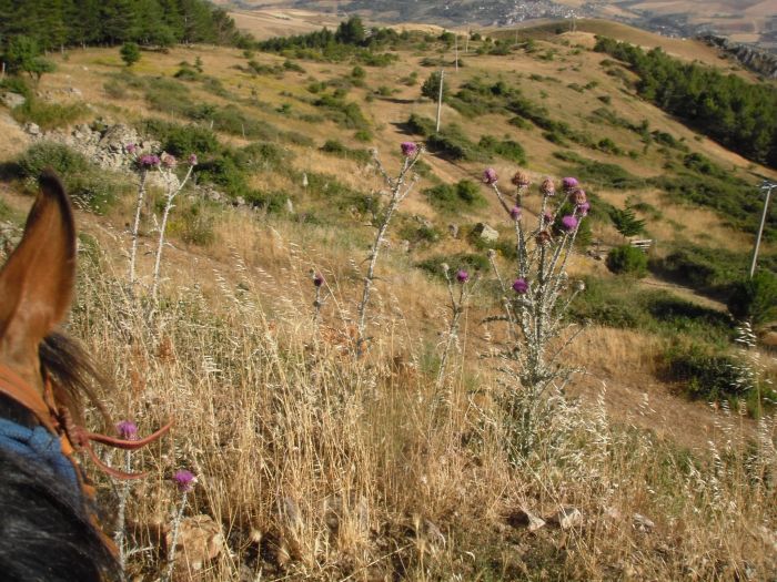 D'un boût à l'autre de la Sicile