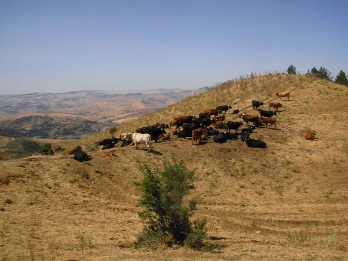 D'un boût à l'autre de la Sicile