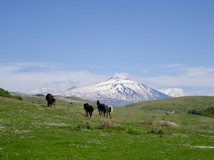 La beauté sicilienne