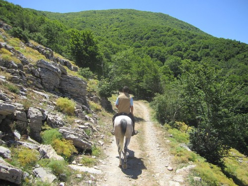 Randonnée des Madonies