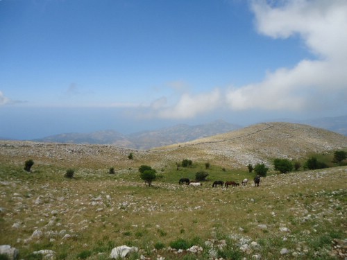 Randonnée des Madonies