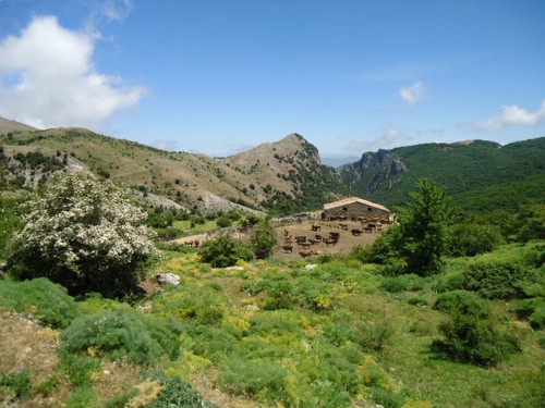 Randonnée des Madonies