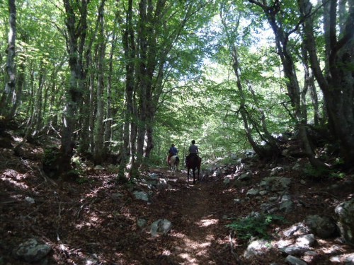 Randonnée des Madonies