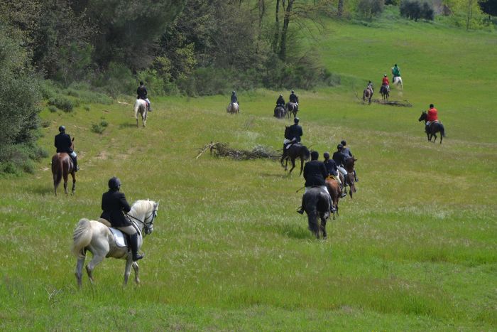 Centre équestre à Montalcino