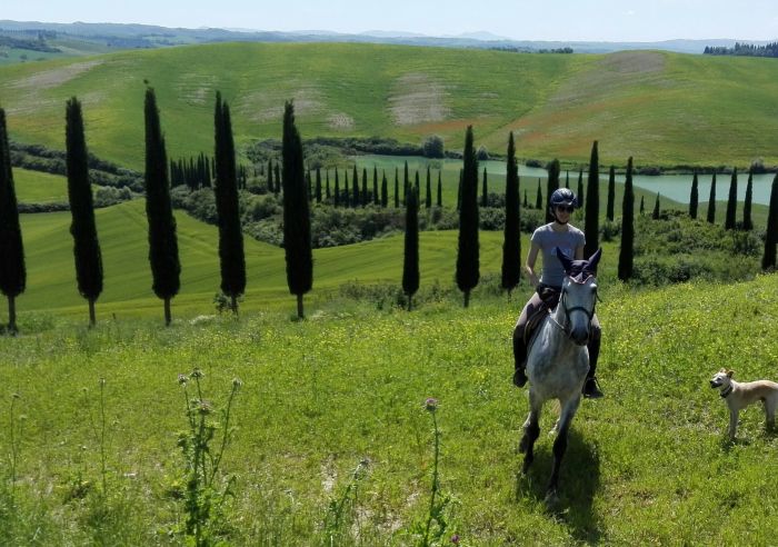 Centre équestre à Montalcino