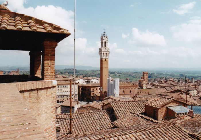 Centre équestre à Montalcino