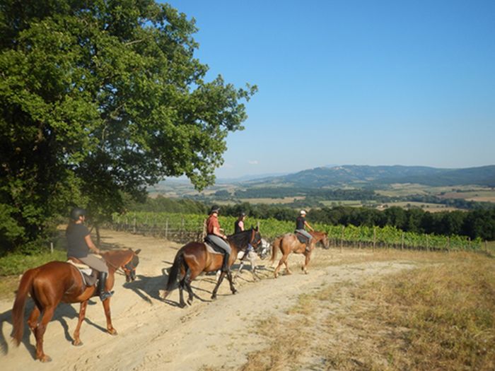 Centre équestre à Montalcino