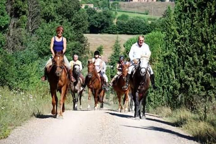Centre équestre à Montalcino