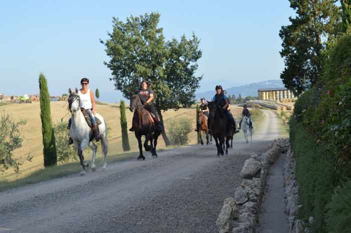 Centre équestre à Montalcino