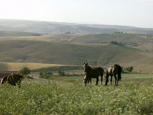 Châteaux et forteresses de Toscane