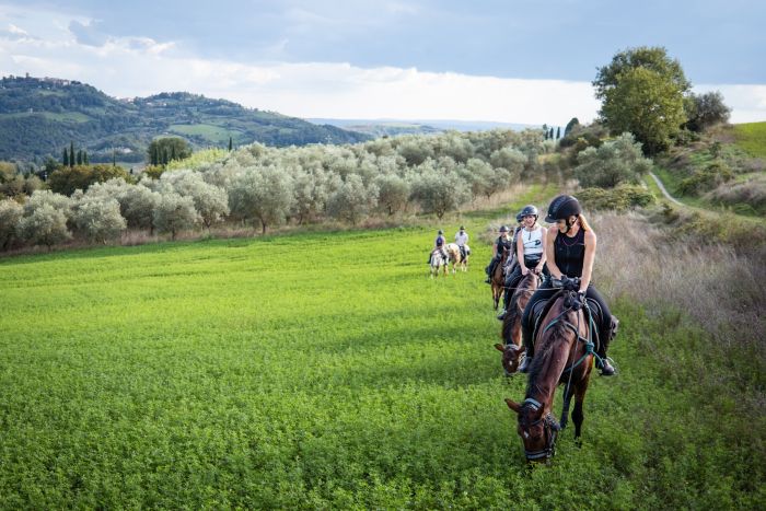 Ch&acirc;teaux et forteresses de Toscane