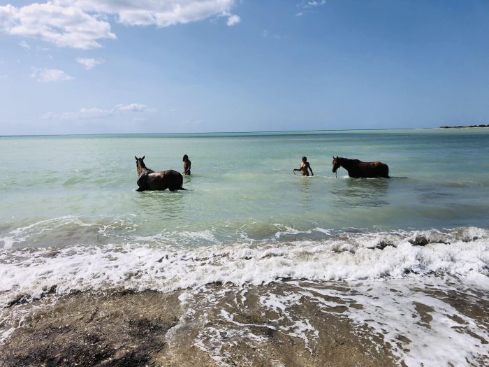 Le Moyen &Acirc;ge et la mer : la Sicile occidentale