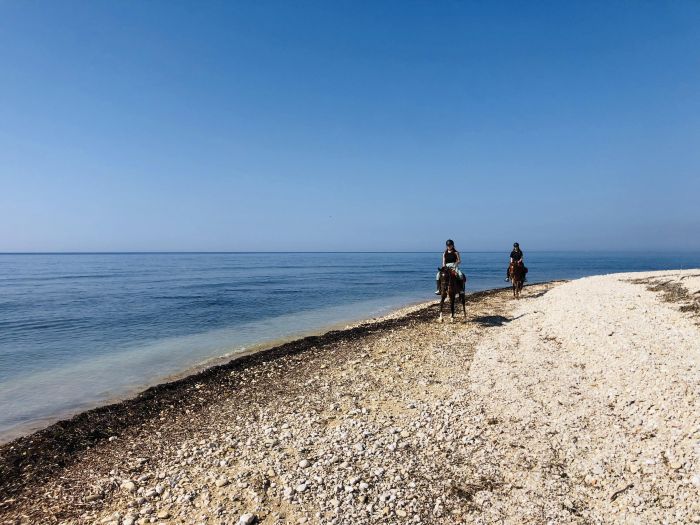 Le Moyen &Acirc;ge et la mer : la Sicile occidentale
