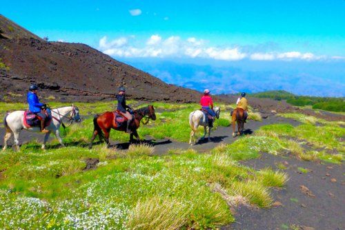Randonnée du parc naturel de l'Etna
