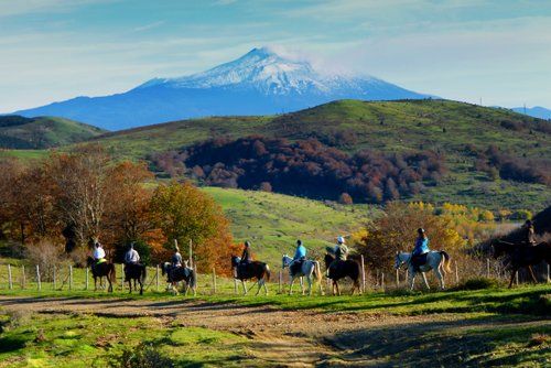 Randonnée du parc naturel de l'Etna