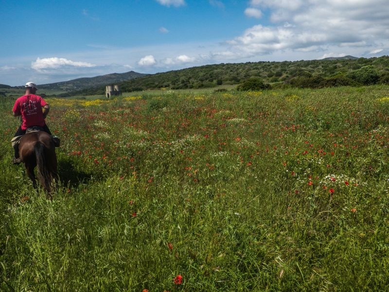 Aventure insulaire dans le sud de la Sardaigne