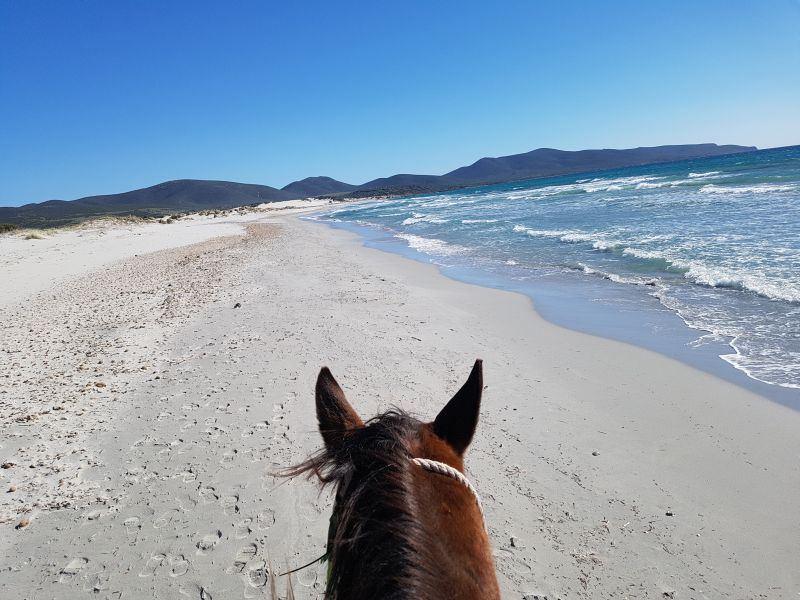 Aventure insulaire dans le sud de la Sardaigne