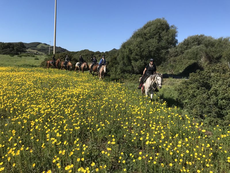 Aventure insulaire dans le sud de la Sardaigne