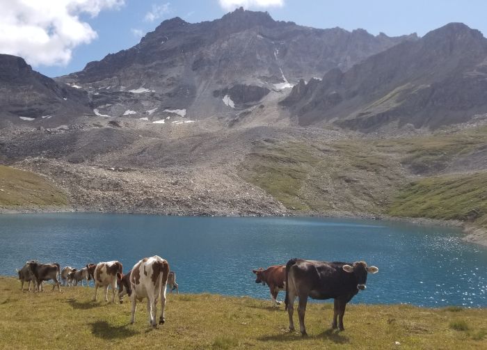 Randonn&eacute;es dans les Alpes valaisannes