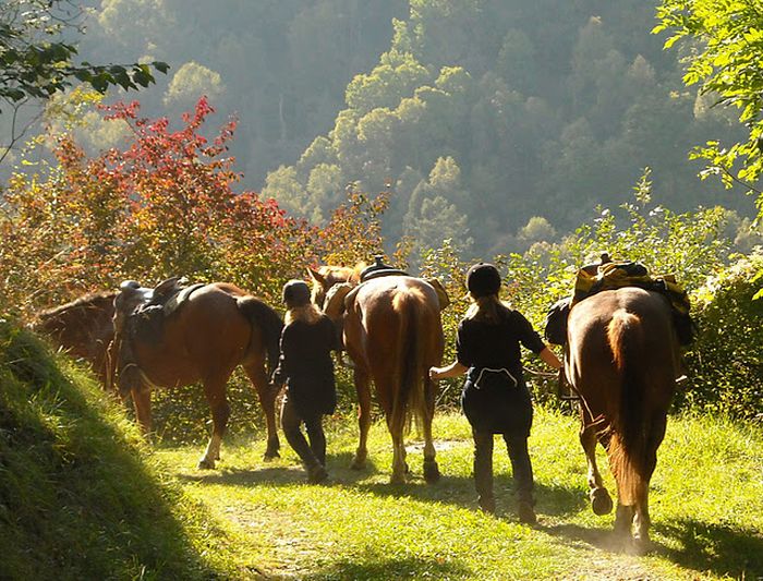 Randonnées dans les Alpes valaisannes
