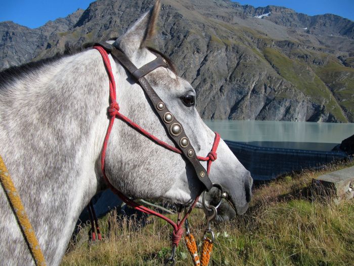 Randonnées dans les Alpes valaisannes