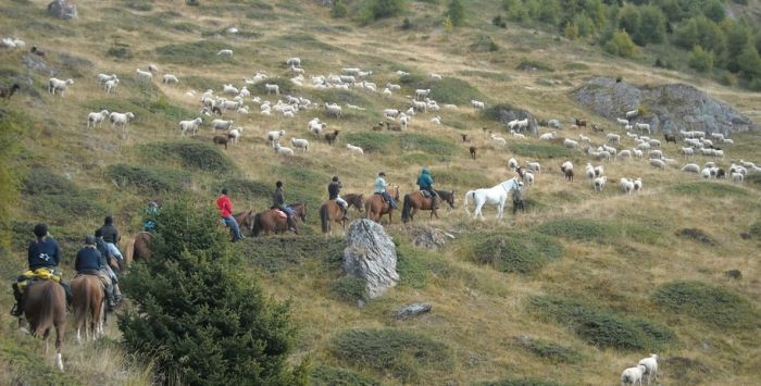Randonnées dans les Alpes valaisannes