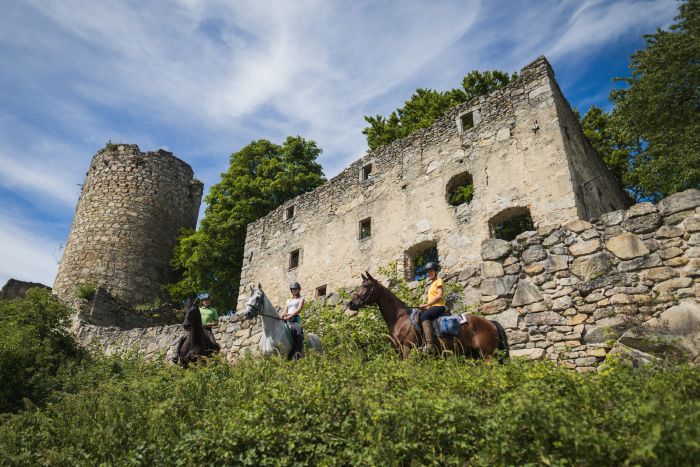 Randonnée dans le Mühlviertel