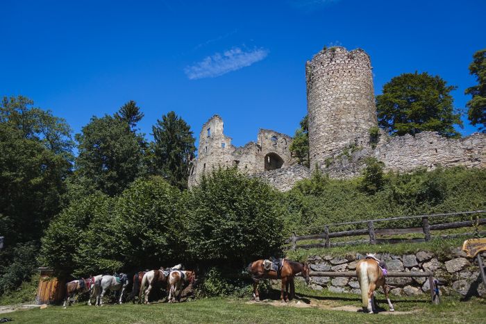 Randonnée dans le Mühlviertel