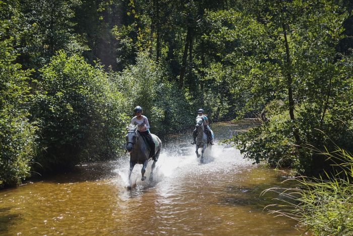 Randonnée dans le Mühlviertel