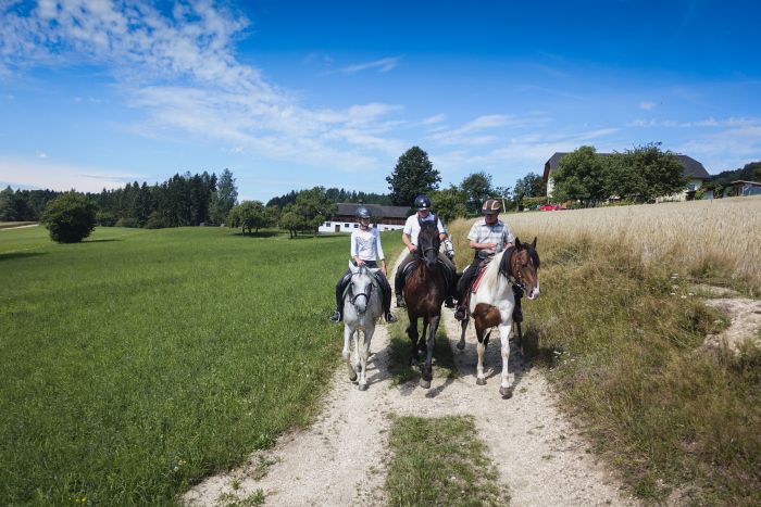 Randonnée dans le Mühlviertel