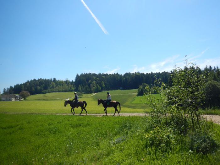Randonnée dans le Mühlviertel