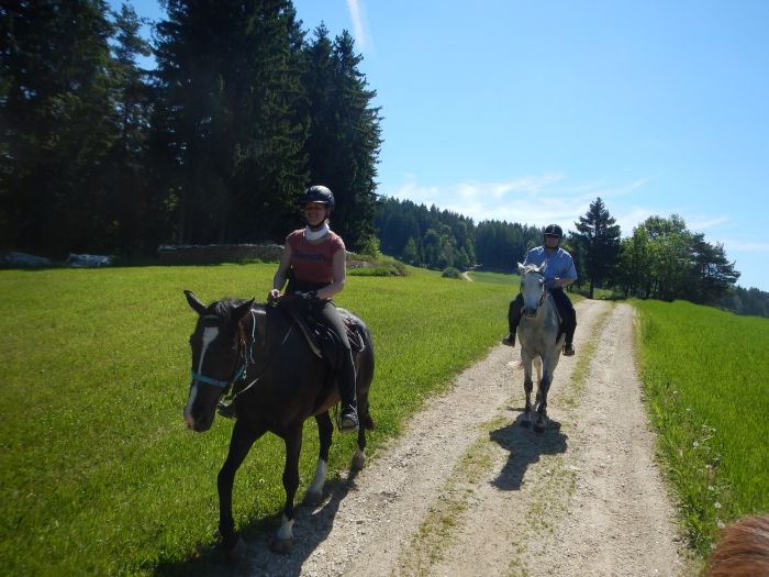 Randonnées à la Mühlviertl Alm (Alpages)