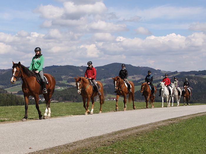 Randonnées à la Mühlviertl Alm (Alpages)