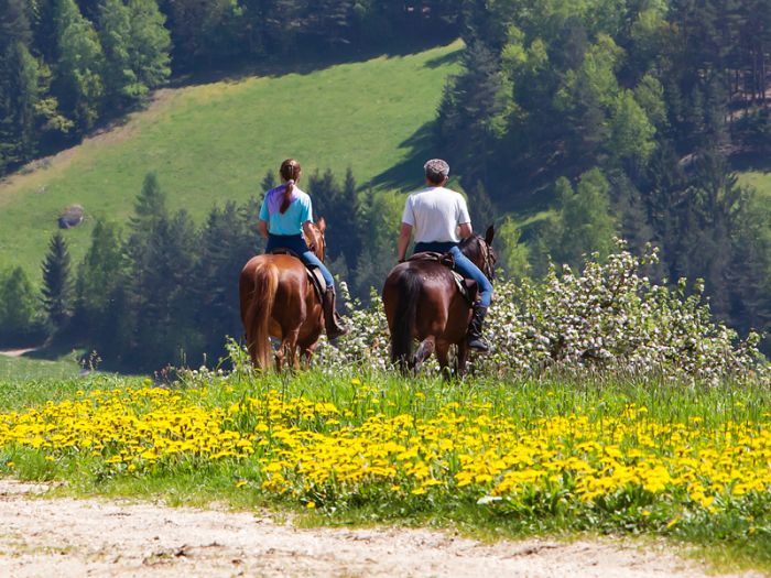 Randonnées à la Mühlviertl Alm (Alpages)