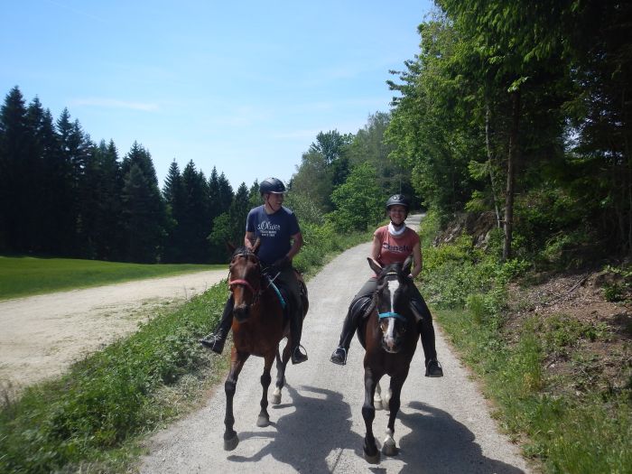 Randonnées à la Mühlviertl Alm (Alpages)
