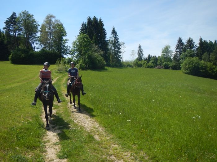 Randonnées à la Mühlviertl Alm (Alpages)