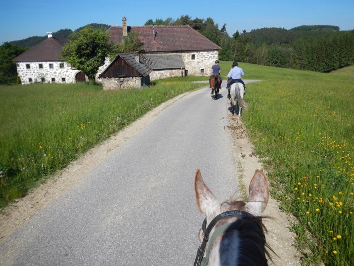 Randonnées à la Mühlviertl Alm (Alpages)