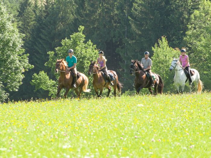 Randonnées à la Mühlviertl Alm (Alpages)