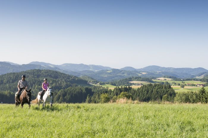 Randonnées à la Mühlviertl Alm (Alpages)