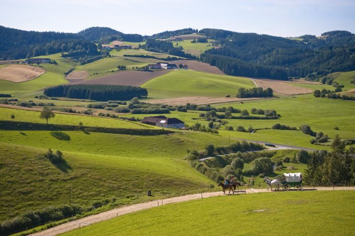 Randonnées à la Mühlviertl Alm (Alpages)