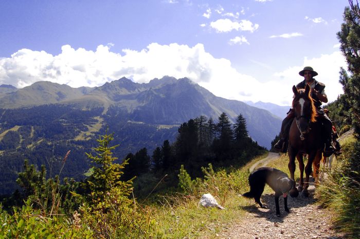 Randonnées panoramiques à travers les Alpes