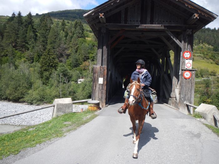 Randonnées panoramiques à travers les Alpes